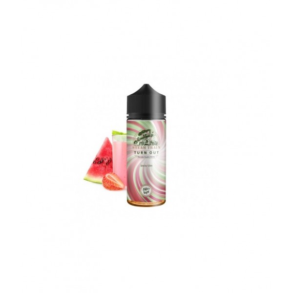 Steamtrain Flavour Shot Turn Out 120ml